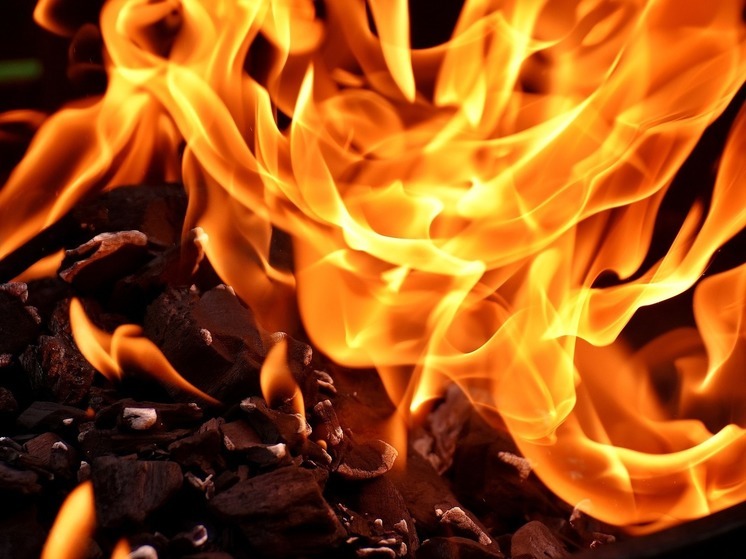 Пожар на мусорном полигоне в Краснодарском крае потушен