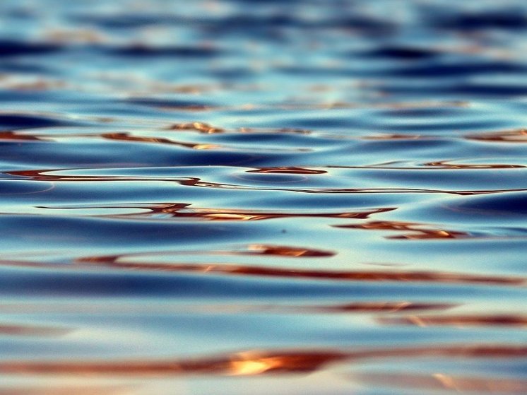 Уровень воды в реке в селе Абатское в Тюменской области достиг 1204 сантиметров