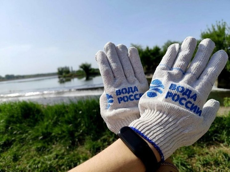 В ЛНР участники экологической акции расчистили берег Луганского моря