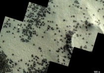 О насекомых на Марсе пока ничего неизвестно, но новые фотографии, сделанные орбитальным космическим аппаратом, показали множество «пауков», которые, «снуют» по пыльной поверхности планеты