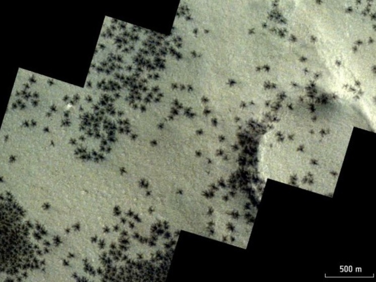 Science Alert: камера запечатлела на поверхности Марса жутких «пауков»