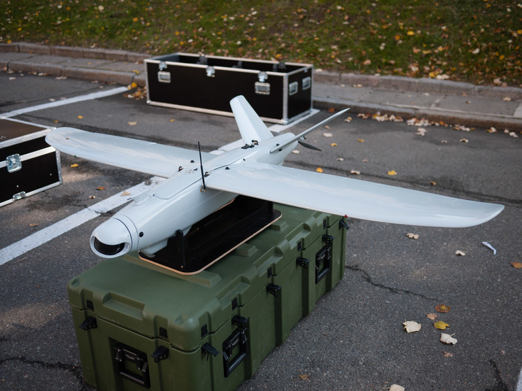 Spiegel: Киев запросил у Берлина более 800 дронов Vector