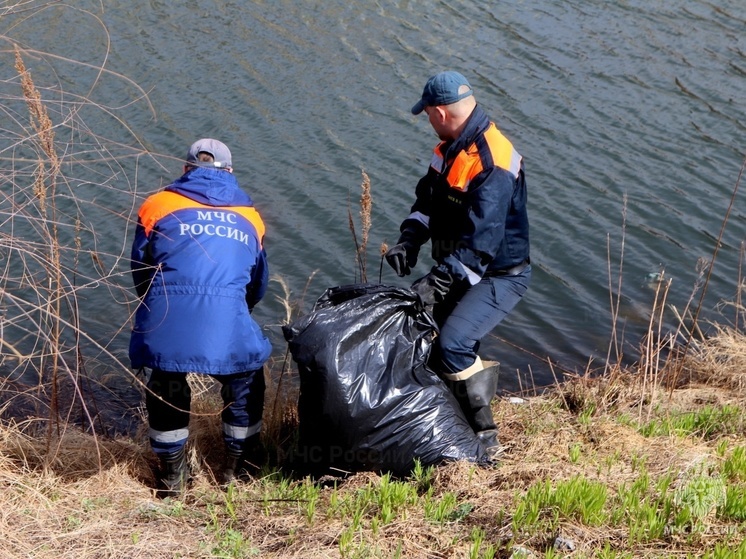 Спасатели в ЕАО вышли на борьбу с мусором