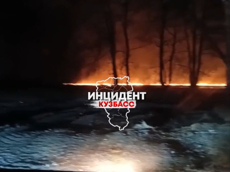 Огонь охватил лес в кузбасском поселке