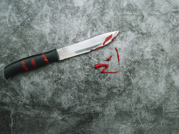 Воронежского потрошителя, изрезавшего ножом 4 человек, закрыли на 10 лет