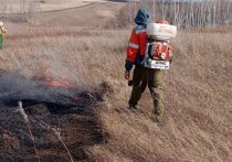 В Красноярском крае сотрудники лесной охраны Рыбинском районе нашли лопату, металл и выкопанные ямки