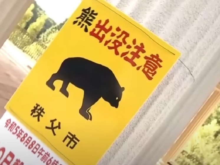 SBC News: 50-летний японский каратист отбился в горах от двух медведей