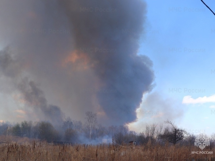 Восемь природных пожаров потушили в Амурской области за сутки