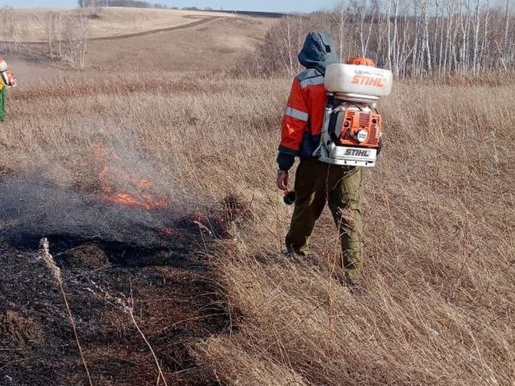 «Металлистов» заподозрили в поджоге леса в Рыбинском районе Красноярского края