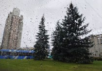 В Петербурге потепление сопровождается дождями и грозами. О погоде в Северной столице 28 апреля рассказал в своем telegram-канале синоптик Михаил Леус.