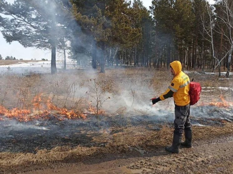 В южных районах Иркутской области ожидается высокая пожароопасность