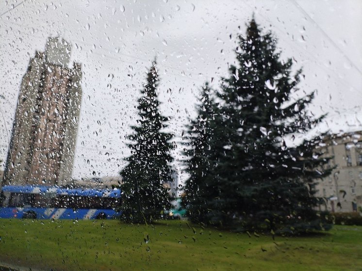 Дождь и грозы: синоптик Леус рассказал о погоде в Петербурге 28 апреля
