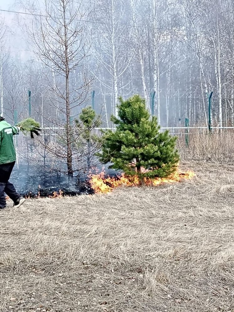 Мэр Красноярска экстренно обратился к горожанам в связи с пожарами