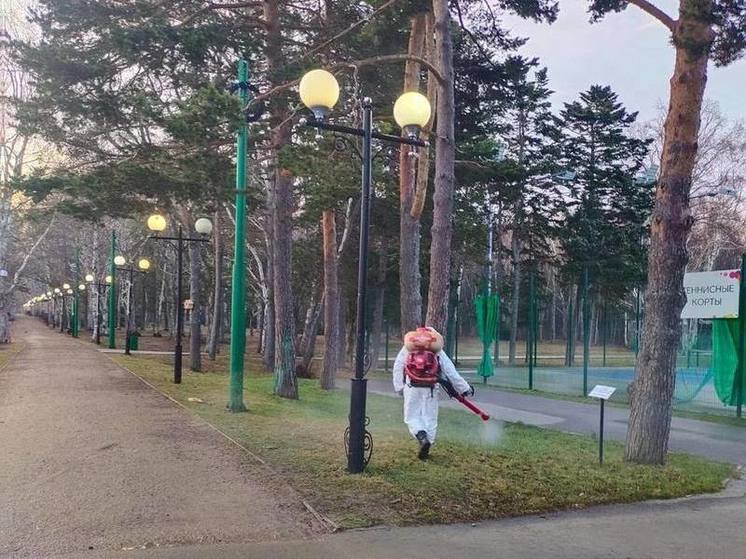 Городской парк Южно-Сахалинска обработали от клещей