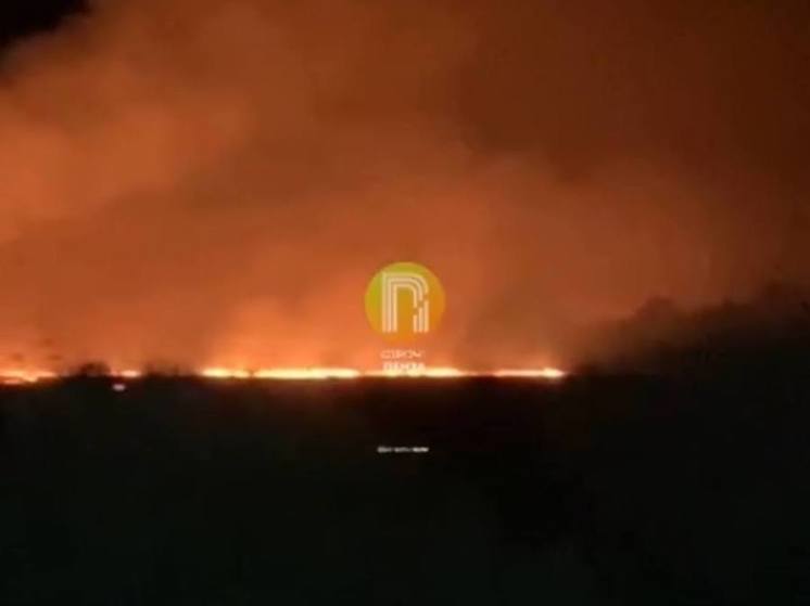 В Пензенской области в поле у села Липовка случился крупный пожар