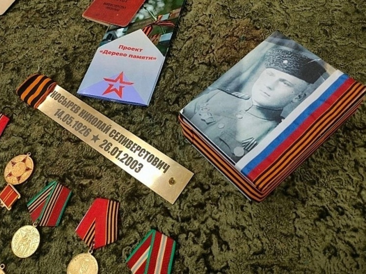 Награду украли в 90-е, ветеран переживал: медаль «За отвагу» вернулась в семью участника ВОВ из Алтайского края