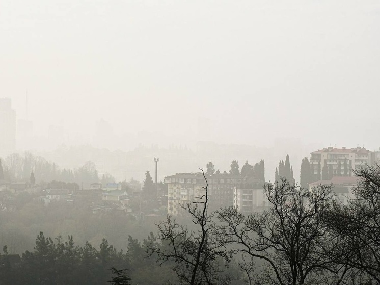 В Сочи и ФТ Сириус ожидается туманная погода