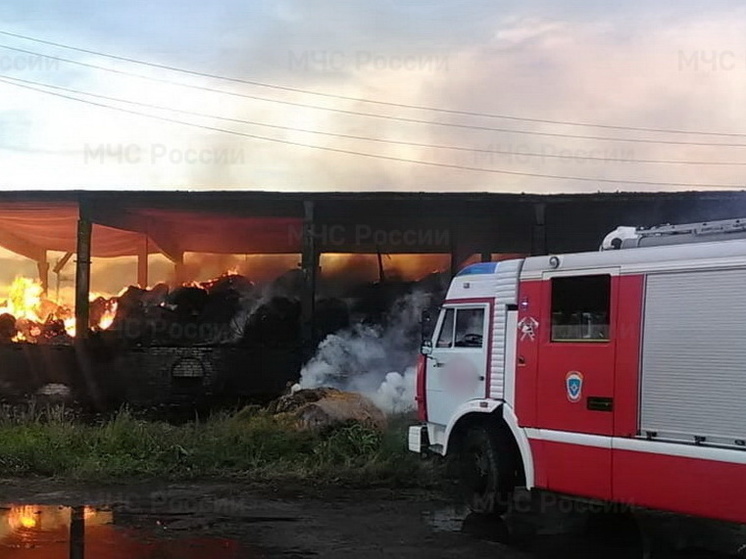 Пожарные потушили горящие хозпостройки в поселке Ульяновка