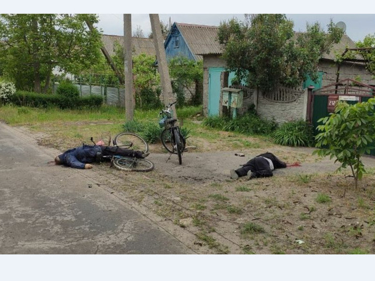 Жители Днепрян погибли из-за минометного удара укробоевиков