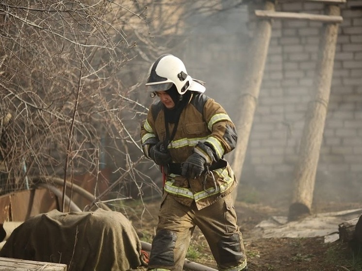 В Астрахани загорелся камыш на площади 1000 квадратных метров