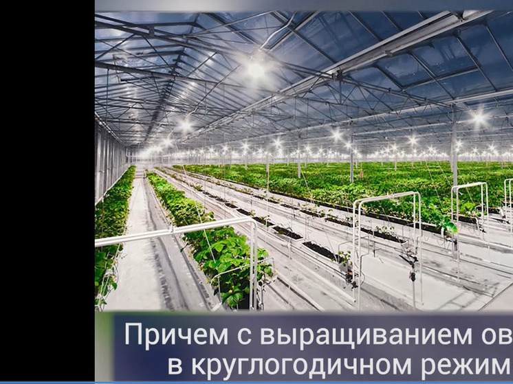 Правительство Херсонщины выделит субсидии производителям овощей