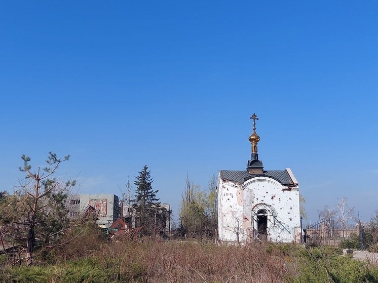 Активисты из общественных организаций готовятся посетить Авдеевку