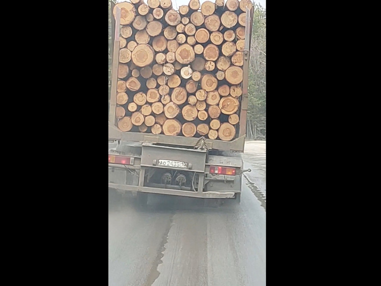 Лесовоз без колеса напугал водителей в Петрозаводске
