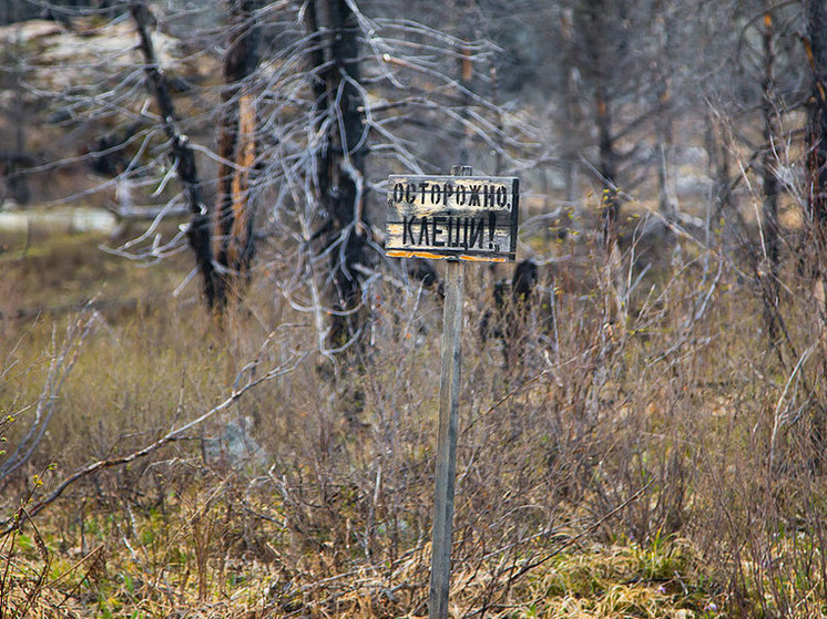 Сибирский и дальневосточный штаммы энцефалита чаще приводят к тяжелым последствиям