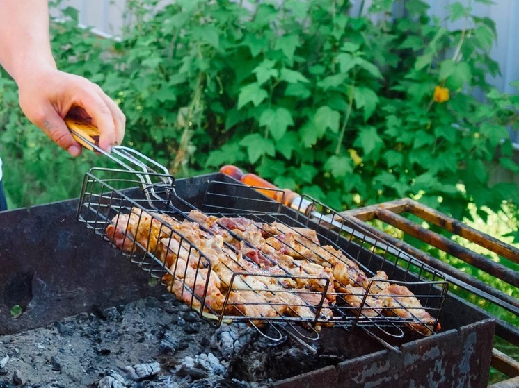 Почем ароматный, очень вкусный шашлычок в Хабаровске?