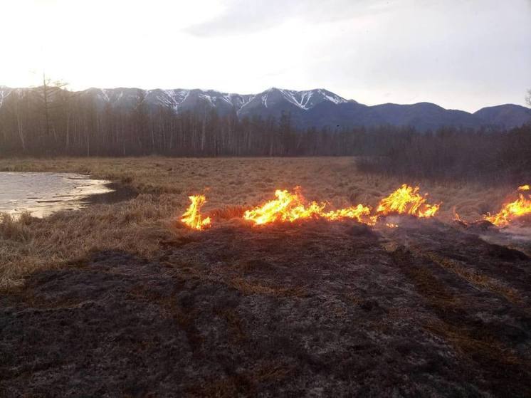 В Бурятии за сутки возникло четыре лесных пожара