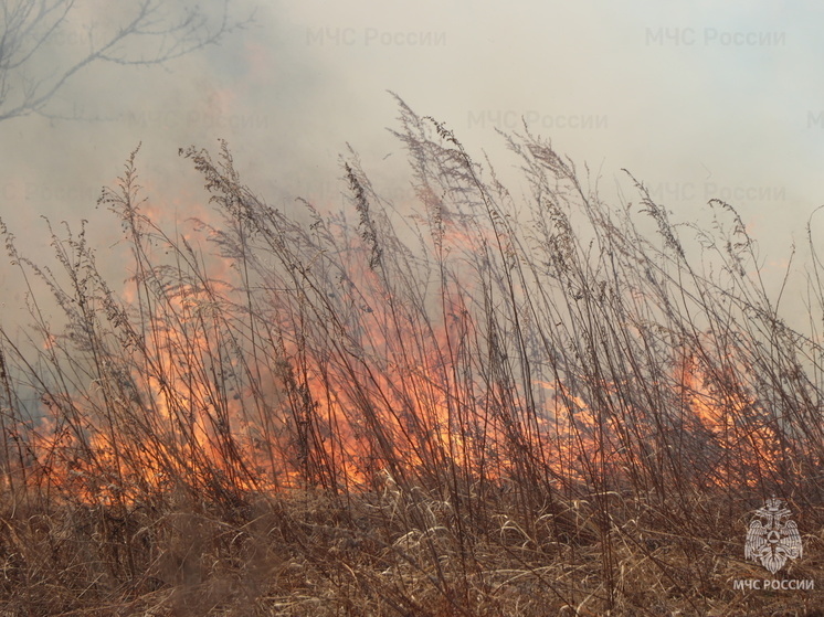 В трех районах Хабаровского края выросла вероятность пожаров