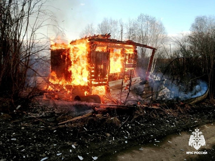 Общая площадь пожаров в Хабаровском крае превышает 4300 гектаров