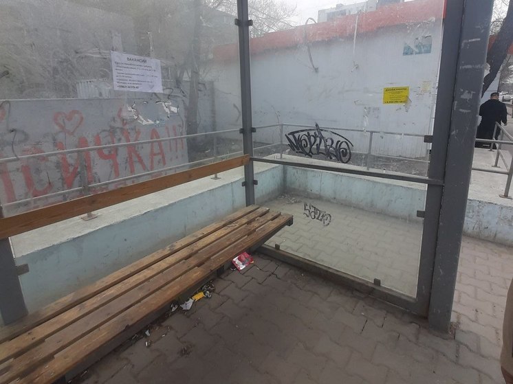Жаловаться на грязные остановки призвала общественница в Хабаровске