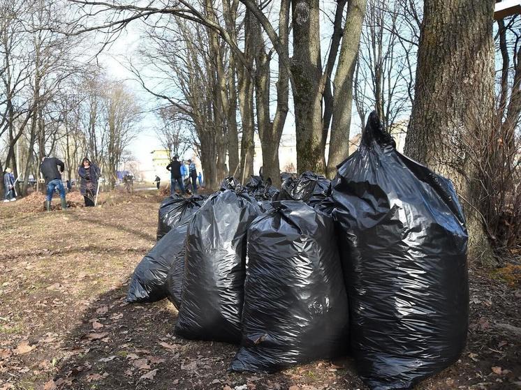 Ярославцы просят вывести мешки с мусором, которые теперь «украшают» город