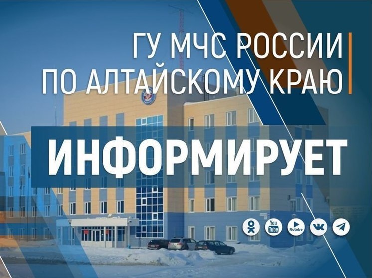 Во второй половине дня 29 апреля и ночью 30 апреля на территории Алтайского края ожидаются дожди и усиление ветра до 18-23 м/с, местами порывы до 27 м/с.  Также на юге региона прогнозируются грозы, сообщает МЧС.