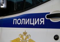 Жительница Фрунзенского района Санкт-Петербурга в ходе ссоры укусила своего возлюбленного ниже пояса и вызвала сотрудников полиции