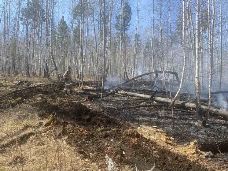 11 лесных пожаров ликвидировали в Приангарье за сутки