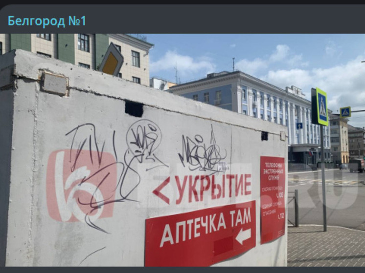 Полицейские нашли парня, разрисовавшего укрытие в центре Белгорода