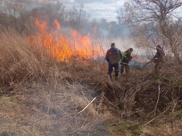 Лесной пожар около села тушат в Амурской области
