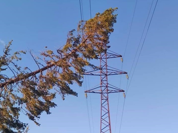 Штормовой ветер оборвал провода ЛЭП в 8 муниципалитетах Свердловской области
