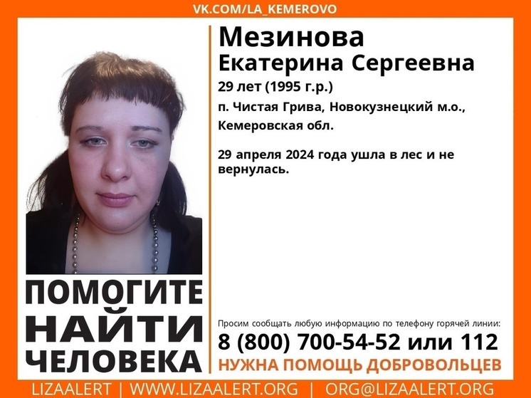 Молодая женщина ушла в лес и бесследно исчезла под Новокузнецком