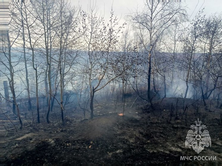 Два СНТ горели в Братске