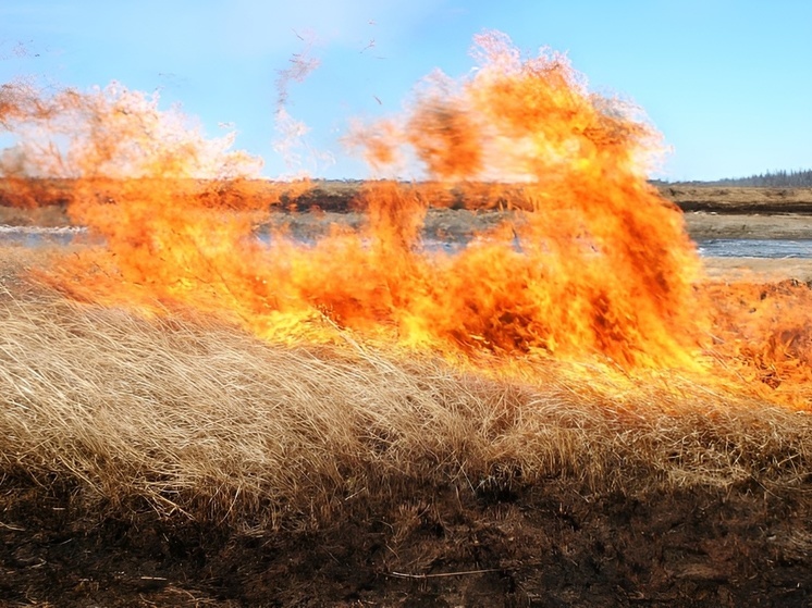 В селе Раздольное загорелась сухая трава на площади 5000 квадратных метров