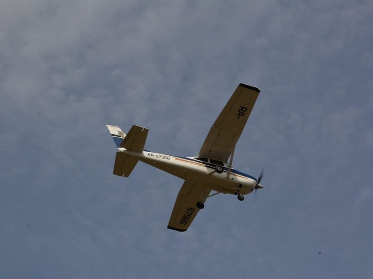 Леса Подмосковья под постоянным наблюдением в праздничные дни