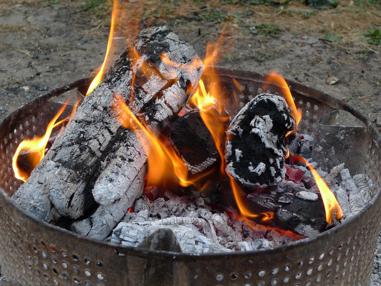 Врач советует готовить маршмеллоу на пикнике на прогоревших углях