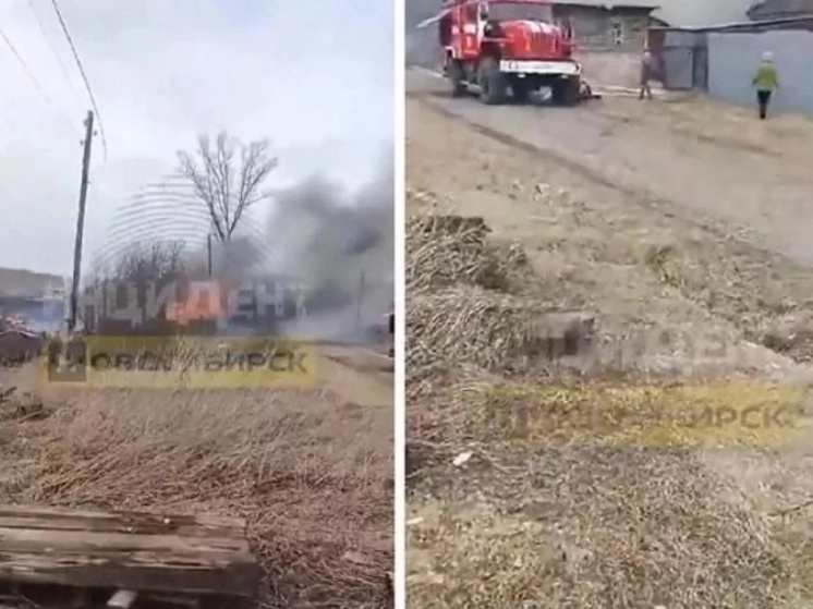 Поселок в Новосибирской области оказался окружен огнем из-за пала травы