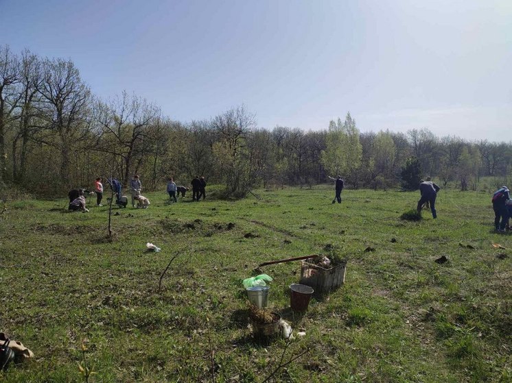 В Саратове высадили 1700 деревьев в рамках акции "Сад памяти"