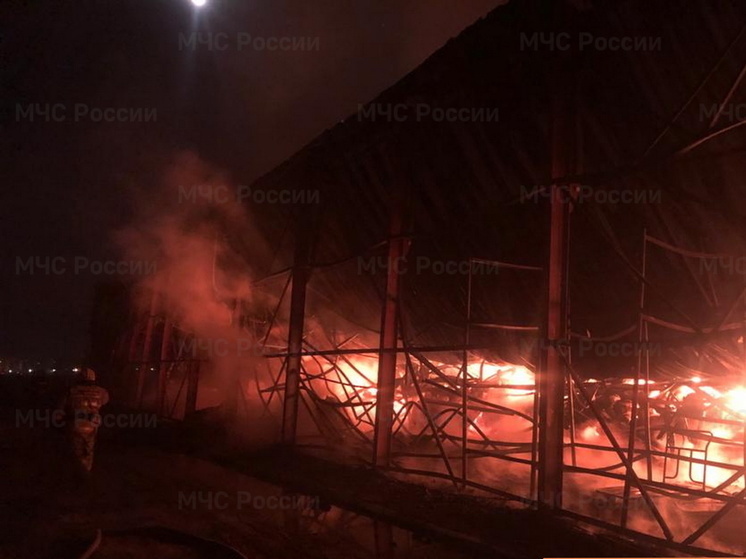 Пожарные потушили горящий частный дом в Гомонтово Волосовского района