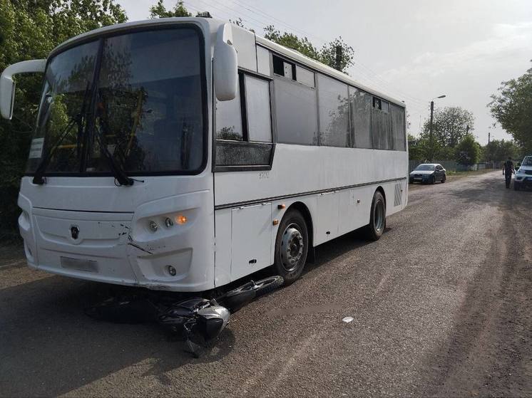 В Запорожской области ребёнок на мопеде врезался в автобус