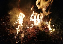 Рядом с радиорынком «Юнона» произошел крупный пожар днем 29 апреля. По данным 78.ru, на территории загорелась сухая трава.